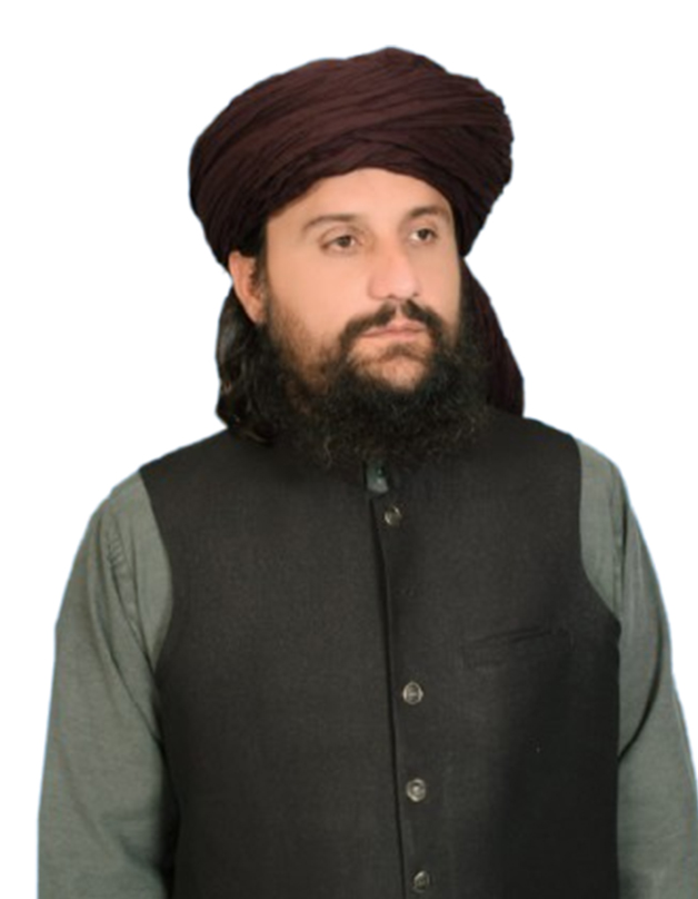 Syed Tauqeer Ul Hasnain shah